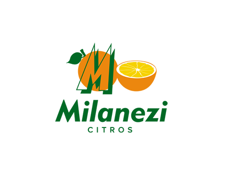 Mauch Milanezi; Grupo Milanezi